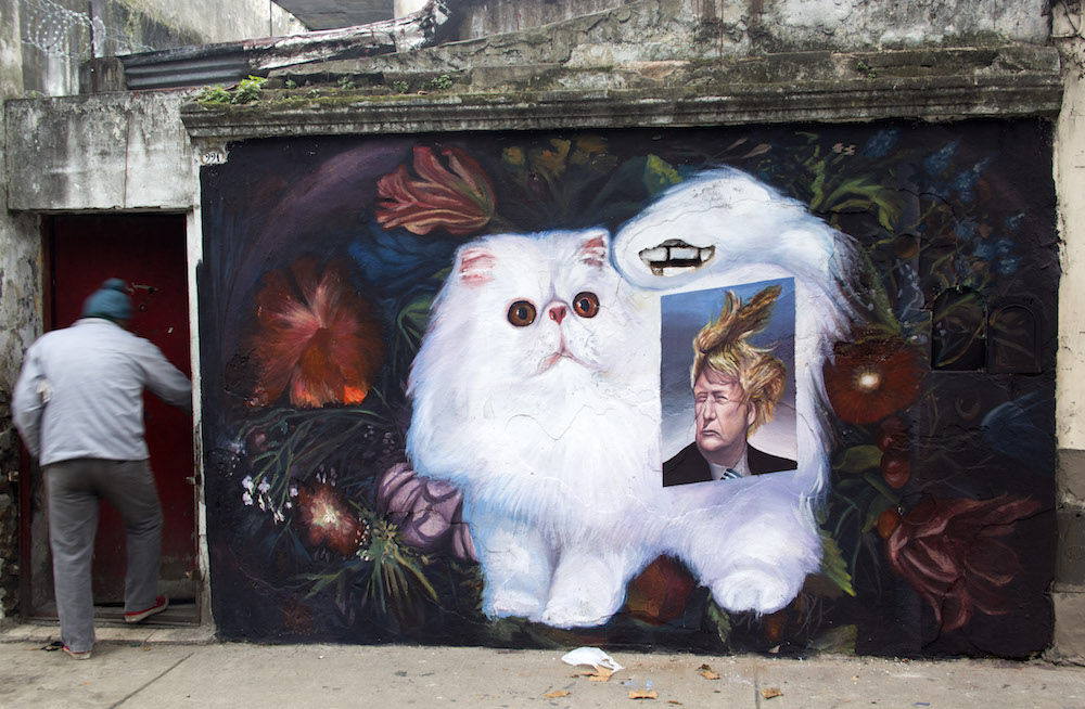 Carousel Image number 2